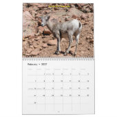 Calendar Kalender (Feb 2027)