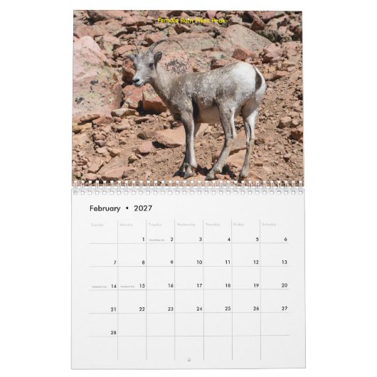 Calendar Kalender (Feb 2027)