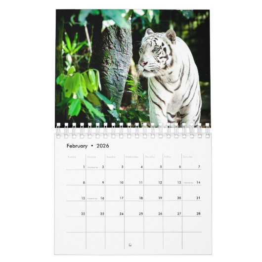 Calendar Kalender (Feb 2026)