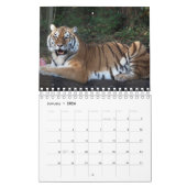 Calendar Kalender (Jan 2026)
