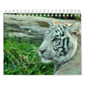 Calendar Kalender (Titelbild)