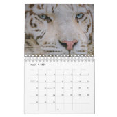 Calendar Kalender (Mär 2026)