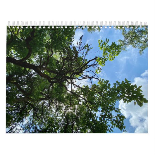 Calendar Kalender (Titelbild)