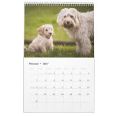 Calendar Kalender (Feb 2027)