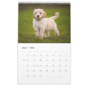 Calendar Kalender (Mär 2026)