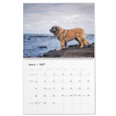 Calendar - Leonberger Ladies Kalender (Mär 2027)