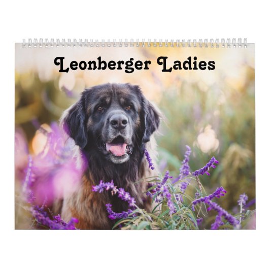 Calendar - Leonberger Ladies Kalender (Titelbild)