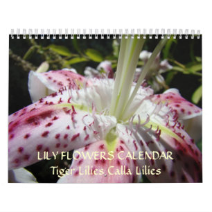 CALENDAR LILIES Pink Calla Lily Blume Tiger Lily Kalender