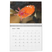 Calendar of Pacific Coast Marine Life Kalender (Mär 2026)