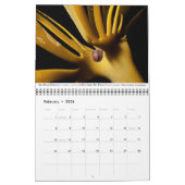 Calendar of Pacific Coast Marine Life Kalender (Feb 2026)