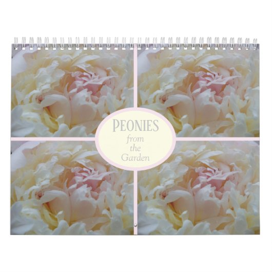 Calendar Peones aus meinem Garten Kalender (Titelbild)