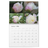 Calendar Peones aus meinem Garten Kalender (Jan 2026)