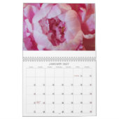 Calendar Peones Kalender (Jan 2027)