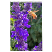 Calendar Pollinators: Bees and Butterflies Kalender (Titelbild)