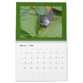 Calendar Reptiles & Amphibien #1 Kalender (Feb 2026)