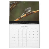 Calendar Schöne Vögel #2 Kalender (Mär 2027)