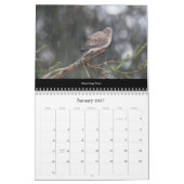 Calendar Schöne Vögel #2 Kalender (Jan 2027)