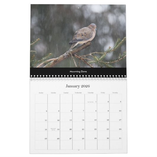 Calendar Schöne Vögel #2 Kalender (Jan 2026)