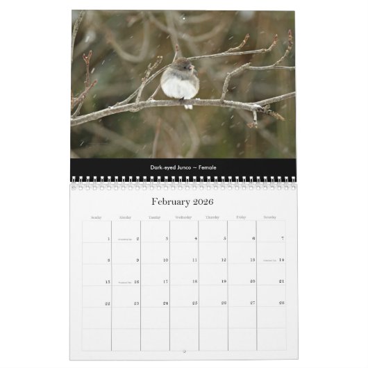Calendar Schöne Vögel #2 Kalender (Feb 2026)