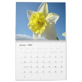 CALENDAR SPRING Kalender Daffodils Tulips Floral (Jan 2027)