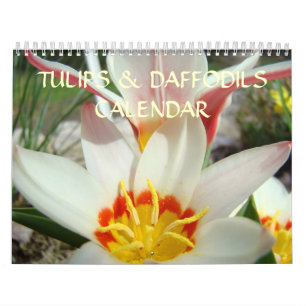 CALENDAR TULIPS DAFFODILS Weihnachtsgeschenke Kalender