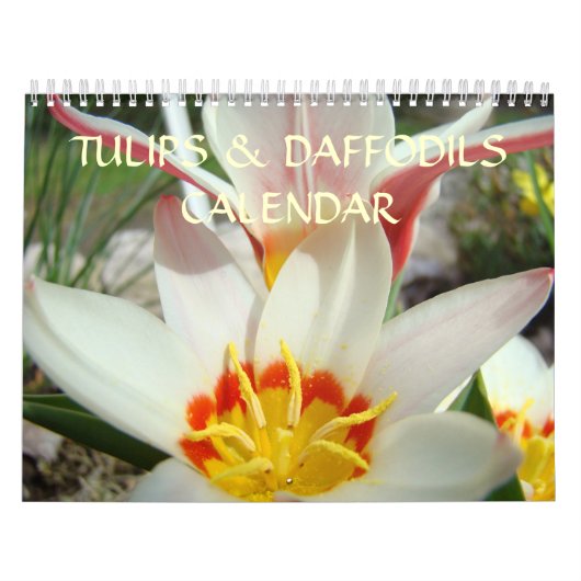 CALENDAR TULIPS DAFFODILS Weihnachtsgeschenke Kalender (Titelbild)
