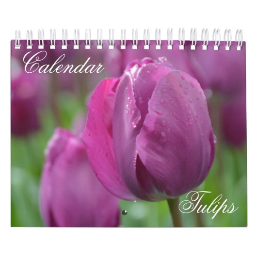Calendar Tulips Kalender (Titelbild)