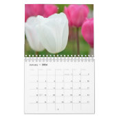 Calendar Tulips Kalender (Jan 2026)