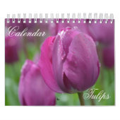 Calendar Tulips Kalender (Titelbild)