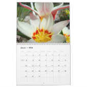 CALENDAR TULIPS Kalender Tulip Blume (Mär 2026)