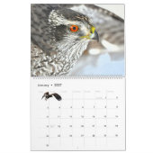 Calendar 'Wild at Last' 2026 Kalender (Jan 2027)
