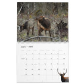 Calendar 'Wild at Last' 2026 Kalender (Mär 2026)