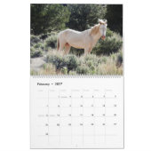Calendar, Wild Horses, Eastern Sierra, California Kalender (Feb 2027)