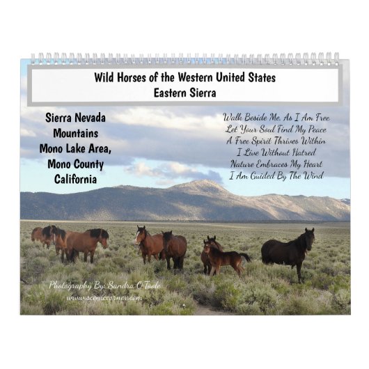 Calendar, Wild Horses, Eastern Sierra, California Kalender (Titelbild)