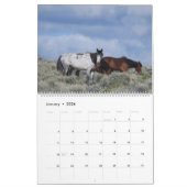 Calendar, Wild Horses, Eastern Sierra, California Kalender (Jan 2026)