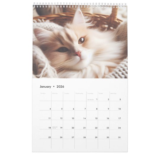 Calendar with cute cats kalender (Jan 2026)