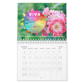 Calendário 2026 :: Viva a Vida Edição ILUMINAÇÃO Kalender (Mär 2026)