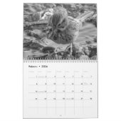 Calendario Betrüger Fotos de Pájaros en blanco Kalender (Feb 2026)