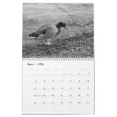 Calendario Betrüger Fotos de Pájaros en blanco Kalender (Jan 2026)