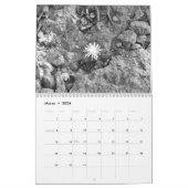 Calendario Betrüger Fotos de Pájaros en blanco Kalender (Mär 2026)