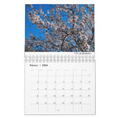 Calendario de Mallorca 2022 Kalender (Feb 2026)