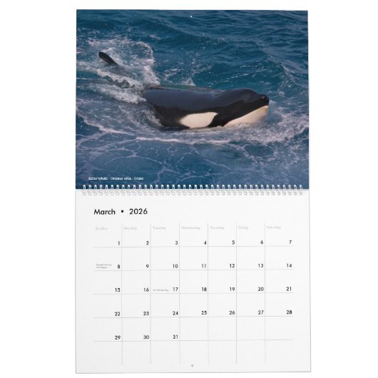 Calendrier 2023 Animaux Kalender (Mär 2026)