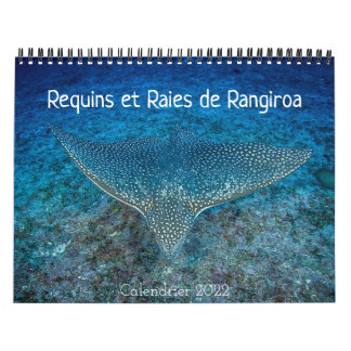 Calendrier des Requins et des Raies カレンダー Kalender
