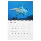 Calendrier des Requins et des Raies カレンダー Kalender (Feb 2026)