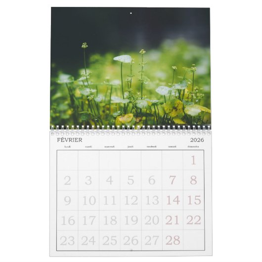 Calendrier Suisse avec Jours Fériés | 2026 Kalender (Feb 2026)