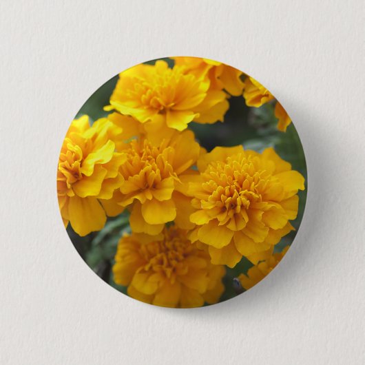 Calendula Button (Vorderseite)