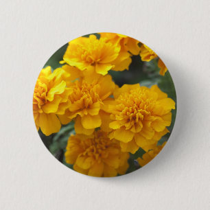 Calendula Button