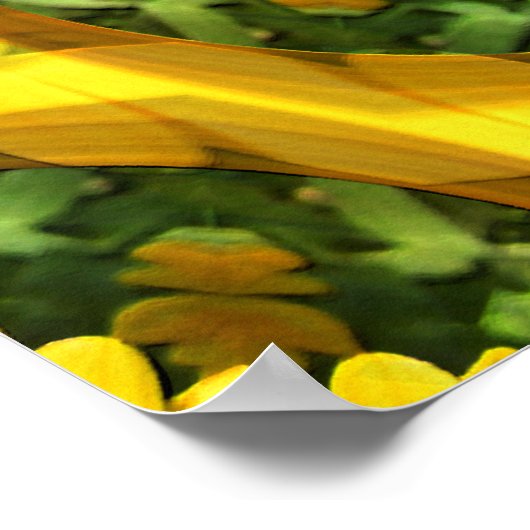 Calendula Garden...... Poster (Ecke)