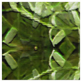 Calendula Garden... Stoff (Nahaufnahme)