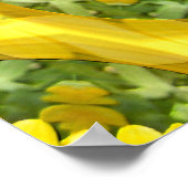 Calendula Liebe....... Poster (Ecke)